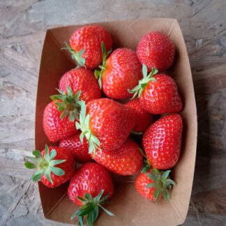 1 Kg de fraises